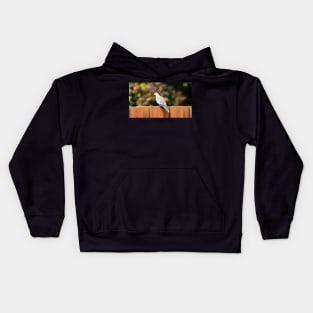 Mourning Dove Perched On a Fence Kids Hoodie